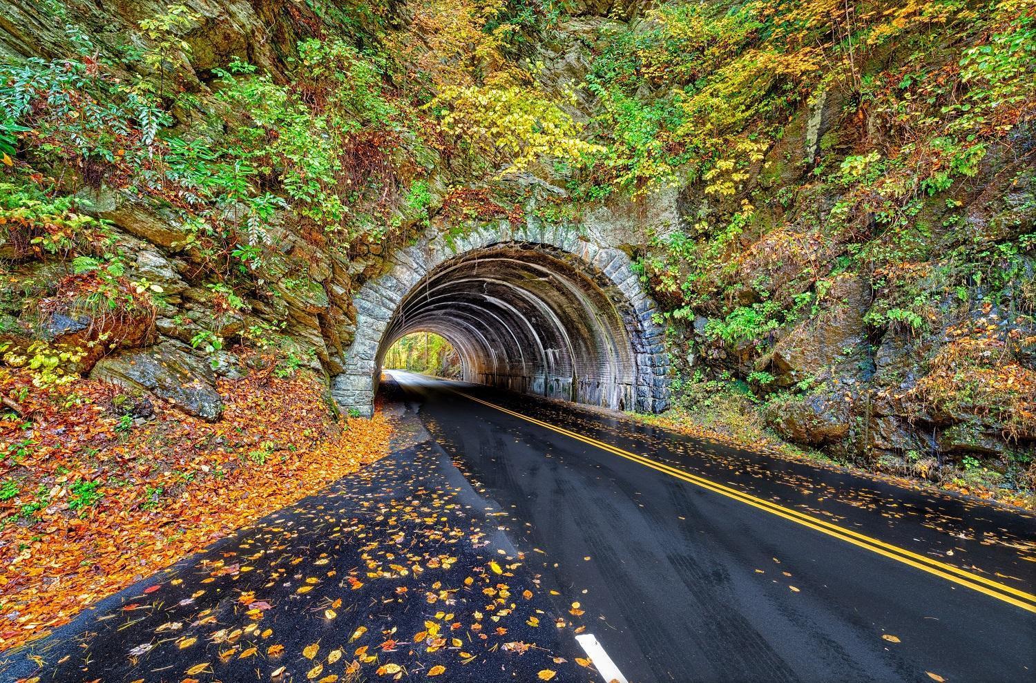 Bear Den, Hot Tub, 1089 Of Free Attraction Tickets For Each Paid Day, Dollywood And More! Sevierville Exteriör bild