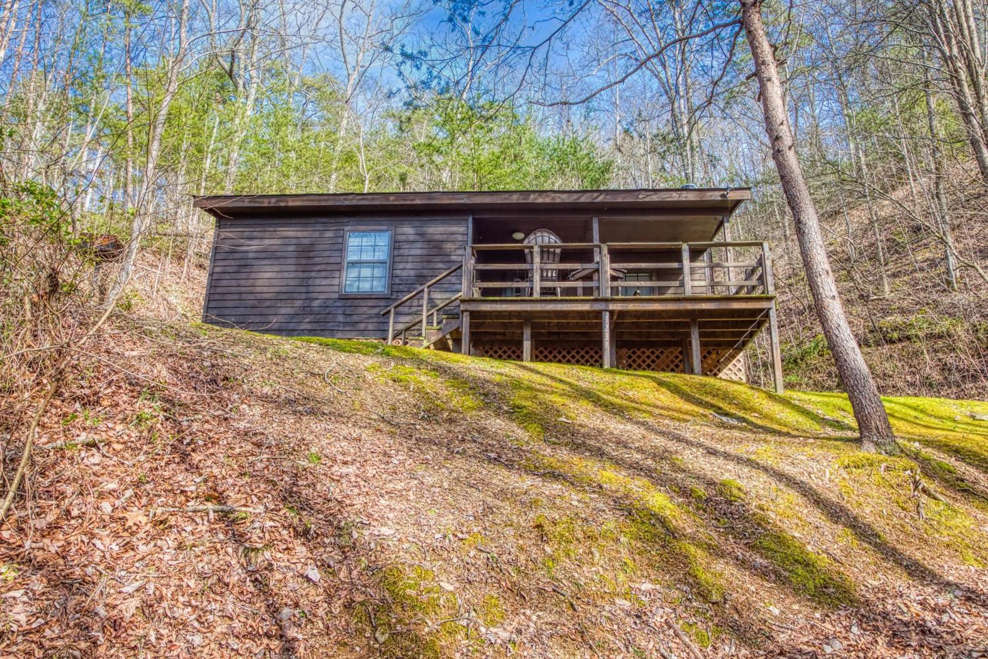 Bear Den, Hot Tub, 1089 Of Free Attraction Tickets For Each Paid Day, Dollywood And More! Sevierville Rum bild